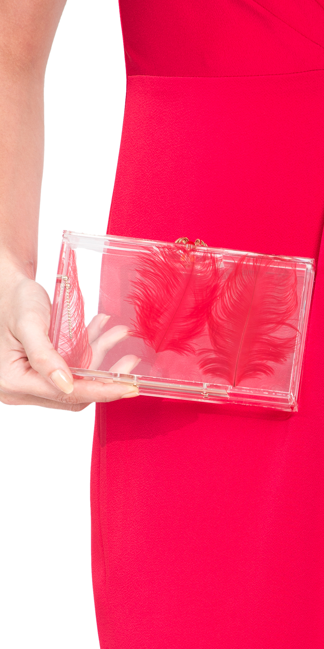 Charlotte olympia online perspex clutch